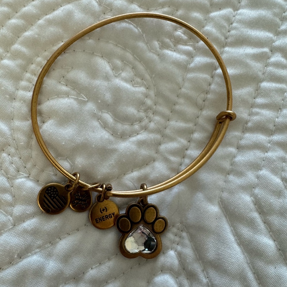 Alex and Ani paw print bracelet
